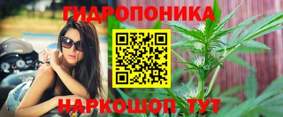 стаф Малоярославец